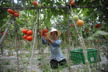 ̽·һ廯 ɶ춼ũҵģʽ