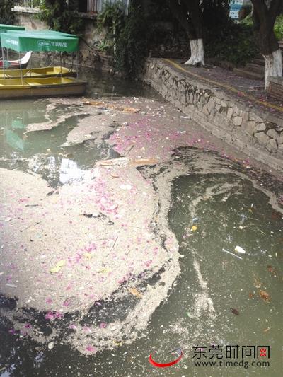 人民公园湖鱼大量死亡 打氧机上阵抢救