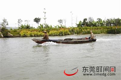 升格省级 水乡建设全面启动