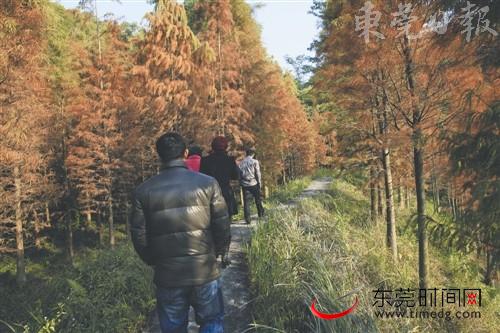 市林业局公布5年来我市林业生态环境主要数据