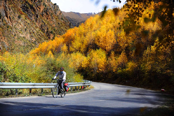 徜徉“高原氧吧” 感受“醉美林芝”