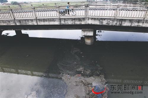 东莞22个人大代表团齐聚焦“水生态建设”