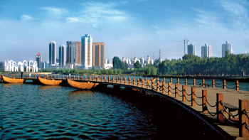 中原转型“示范田”的精彩嬗变