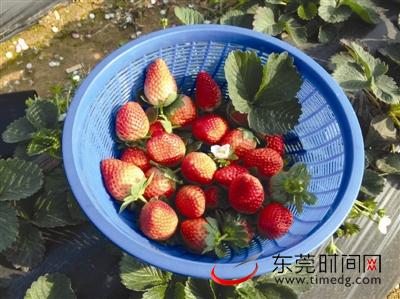 ɽժݮũҲ ĩȥˮɽũ