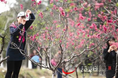 降温!连续阴雨天要来了 明天最低只有12℃