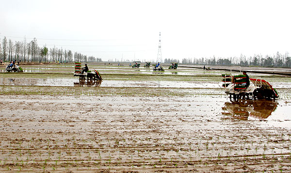 广东加快推进春耕生产工作 预计春播面积3158万亩