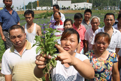 贵州顶云:失地农民陷入三无困局