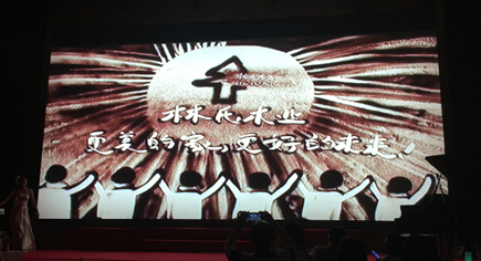 林氏木业的奥斯卡奇幻之夜精彩回顾(组图) 林氏木业的奥斯卡奇幻之夜精彩回顾(组图)