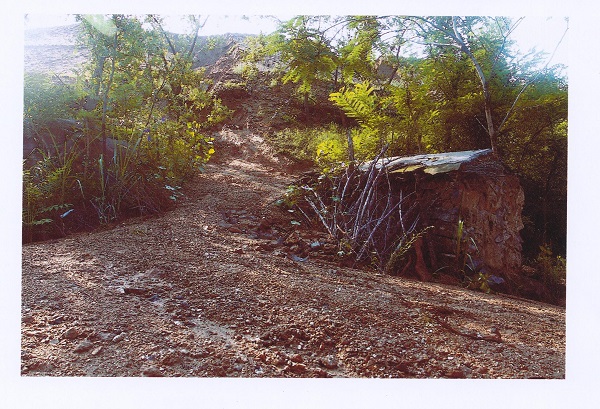 党啊、母亲!儿子呼唤您! 党啊、母亲!儿子呼唤您!