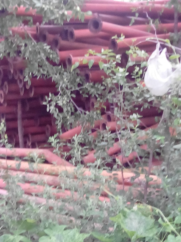 党啊、母亲!儿子呼唤您! 党啊、母亲!儿子呼唤您!