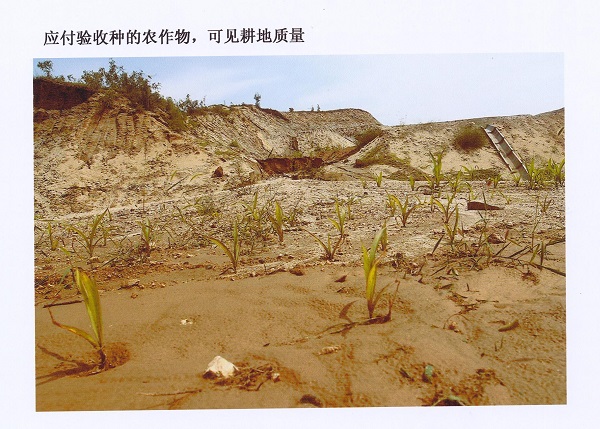 党啊、母亲!儿子呼唤您! 党啊、母亲!儿子呼唤您!