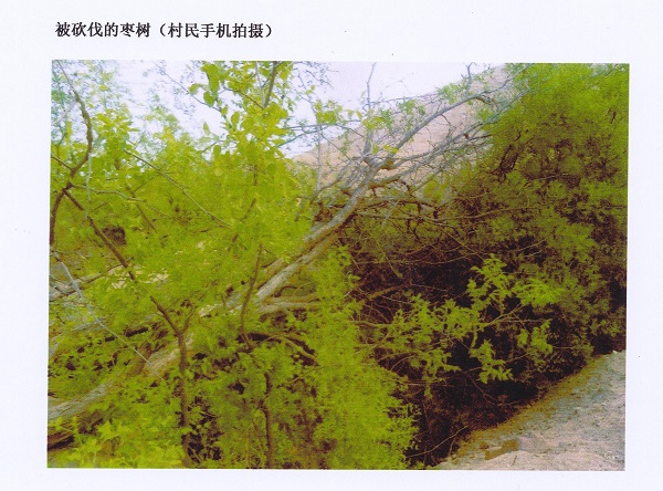 党啊、母亲!儿子呼唤您! 党啊、母亲!儿子呼唤您!