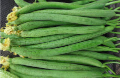 ˿ϼϽᡰϡ ˿ӹҵҵ