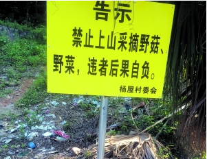 ɽ龯ʾơҰĢ