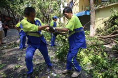 Ī١͡տֱӾʧ154.8Ԫ