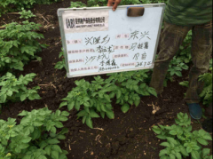 ƶ֮ٽ벢ٴ쾫׼ƶս