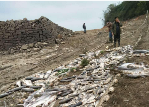 质ˮֳȨ ũҵȶֳȨ