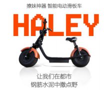 618ƹܵ綯峵 ڳ2999Ԫ