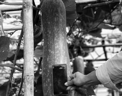 2017㶫ݸũҵչʾӿĻ