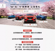 WEYƷ2019ƷἴȻϮ