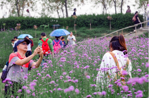 㶫ɽӯ̬԰10޲ʢ,֯˵Ĵ