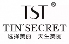 TST罻ҵƷķչ