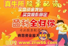 3ƴƱʹ˾ţƱʹڳƽ̨