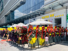 Ŀѡ YO!TEAв衱Ͷߴ