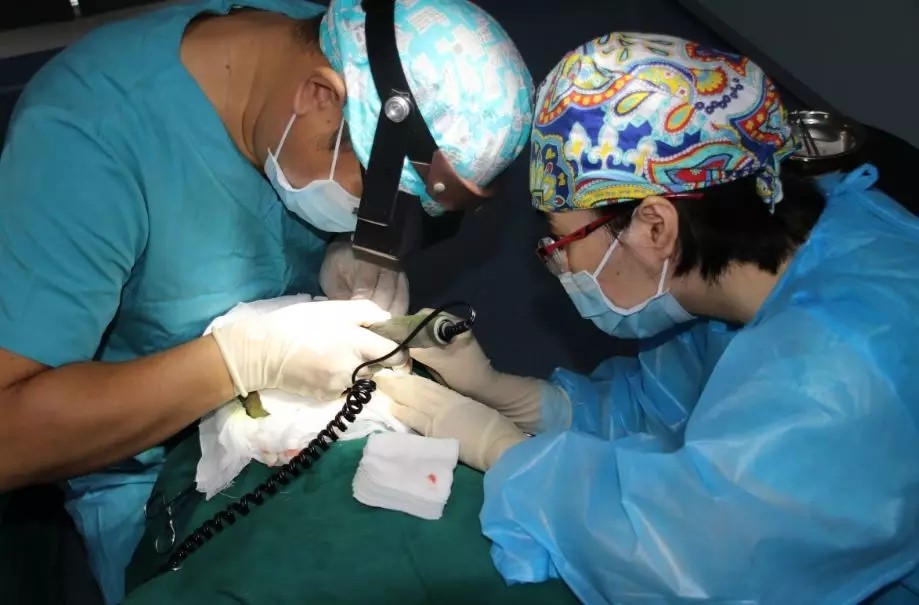 1600393019705868.jpg 9.webp.jpg