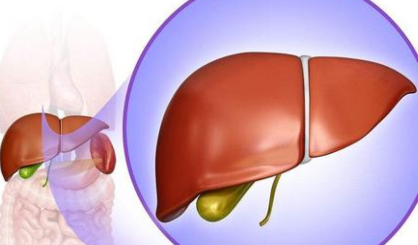 中医胡远忠治疗乙肝小三阳.png 小三阳.png