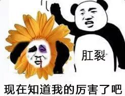 1606183030222114.jpeg 440dc9739f7e40c787ced17ac4b29afb.jpeg