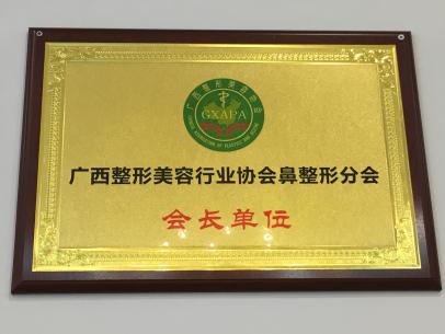 广西鼻整形分会会长单位