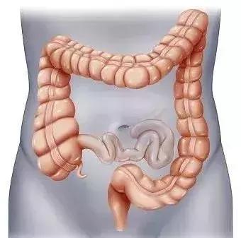 1607044960378268.jpeg 9499c8dddfed4c989e9a591dd20c9fce.jpeg