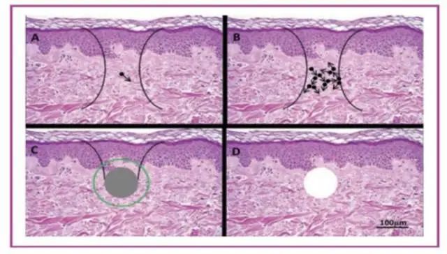 1607301788957839.jpg 微信图片_20201207083007.jpg
