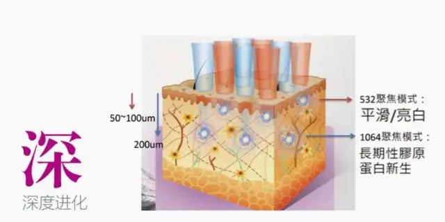 1607301770910334.jpg 微信图片_20201207083004.jpg
