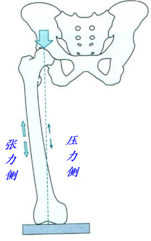 1610935977649998.png 图片2.png