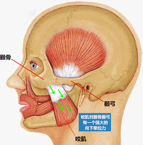 1610936009883962.png 图片4.png