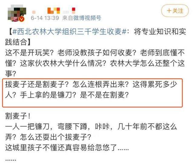 学生收麦子被指作秀 高校回应