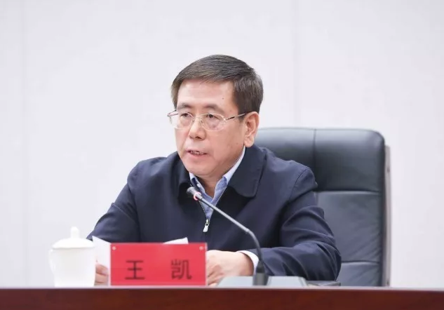 王凯当选河南省省长