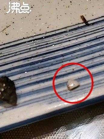 男子称餐厅吃饭被石子硌掉牙无人管 商家：已经处理但未能达成一致
