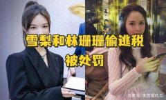 网红雪梨刚经历逃税