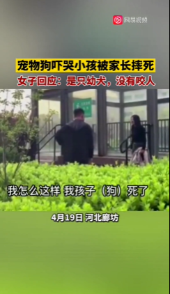 宠物狗吓哭小孩被家长摔死 犬主回应