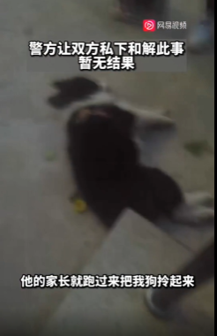 宠物狗吓哭小孩被家长摔死 犬主回应