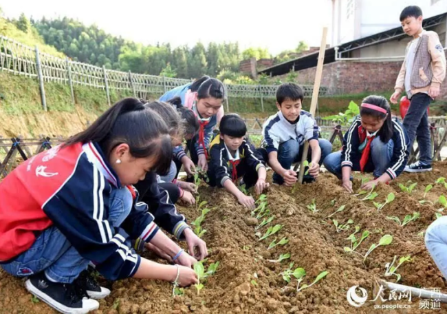 9月起 中小学生要学煮饭种菜修家电