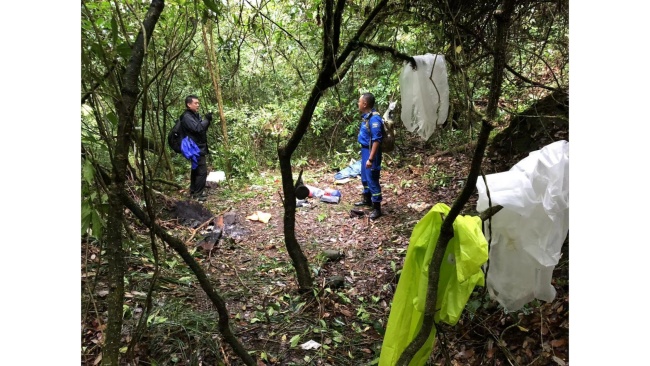 云南苍山13名失联人员均安全，目前身体状况良好