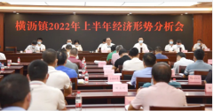 横沥镇召开上半年经济形势分析会部署下半年经济工作