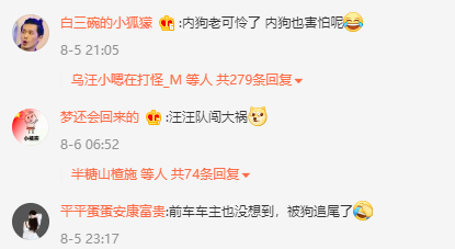 狗狗被关车内踩油门将车开走追尾