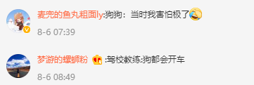 狗狗被关车内踩油门将车开走追尾