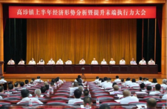 高埗镇上半年经济形势分析暨提升末端执行力大会召开