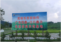 厚街全力推动“黔货出山”助力乡村振兴
